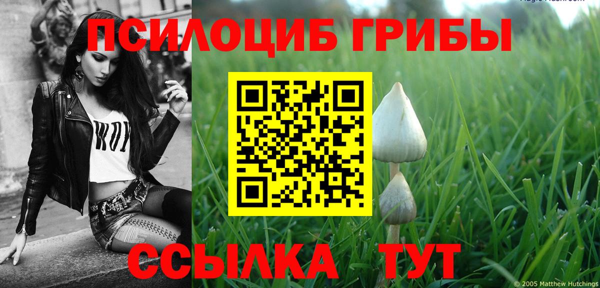 Псилоцибиновые грибы ЛСД  Галлюциногенные грибы GOLDEN TEACHER  продажа наркотиков  Вход с VPN  Александров 